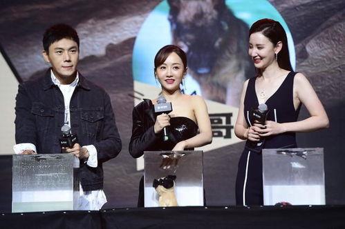 娱乐圈吃瓜汇总最新章节,最新章节揭秘明星幕后真相